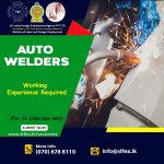 Auto Welders